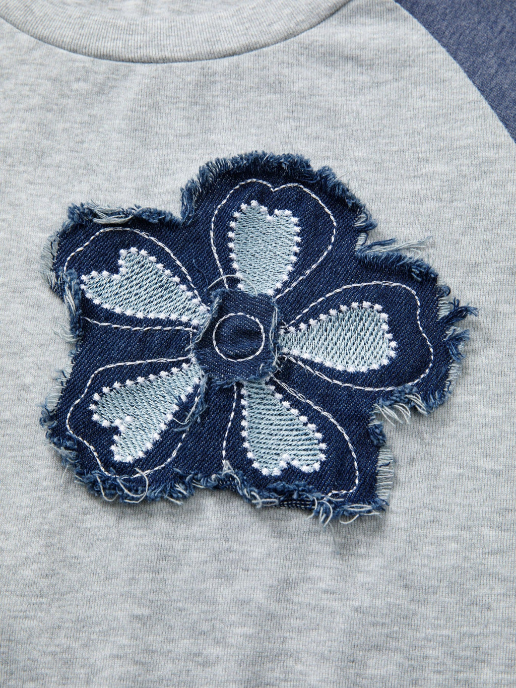 Color Block Flower Embroidered Patch Graphic Raglan Long Sleeve Top