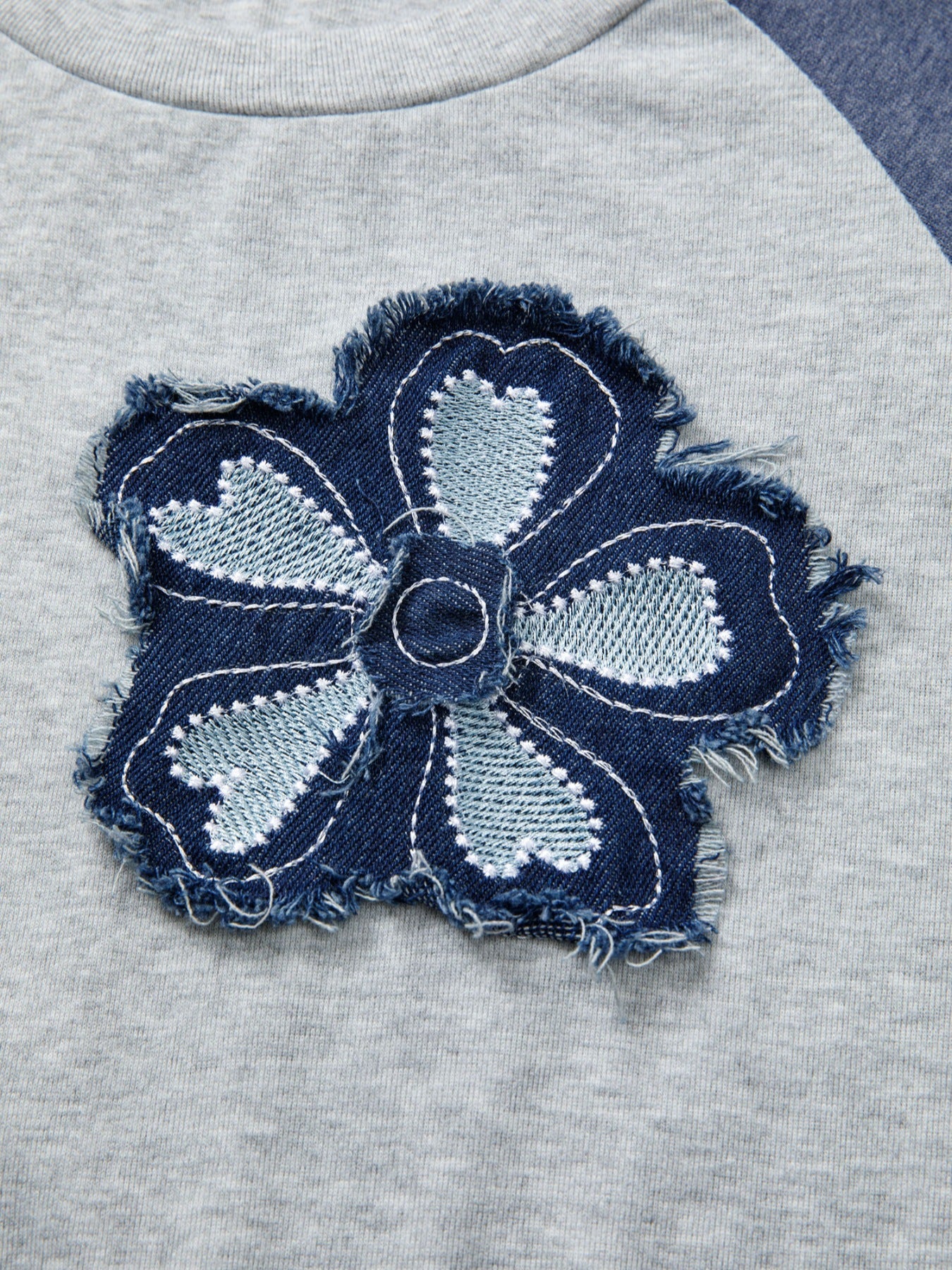 Color Block Flower Embroidered Patch Graphic Raglan Long Sleeve Top