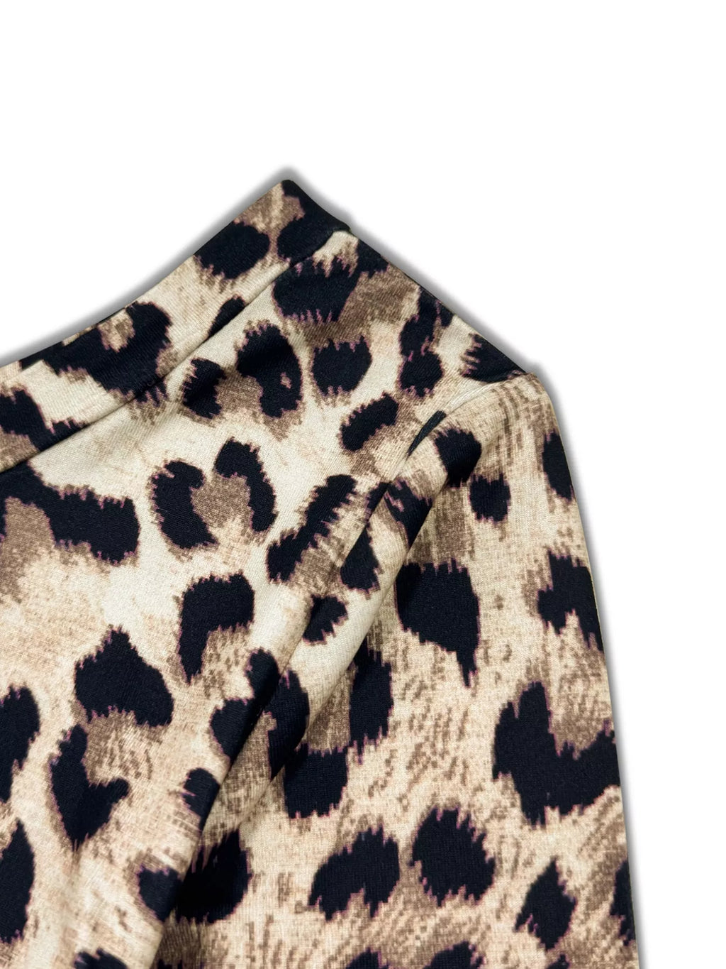Leopard Print One-Shoulder Top and Pants Set
