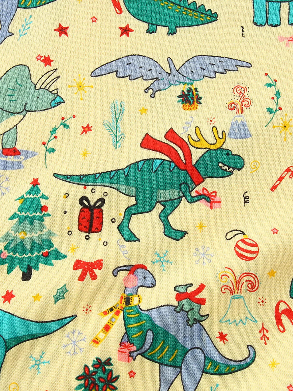 Children‘s Dinosaur Print Long Sleeve Sweatshirt