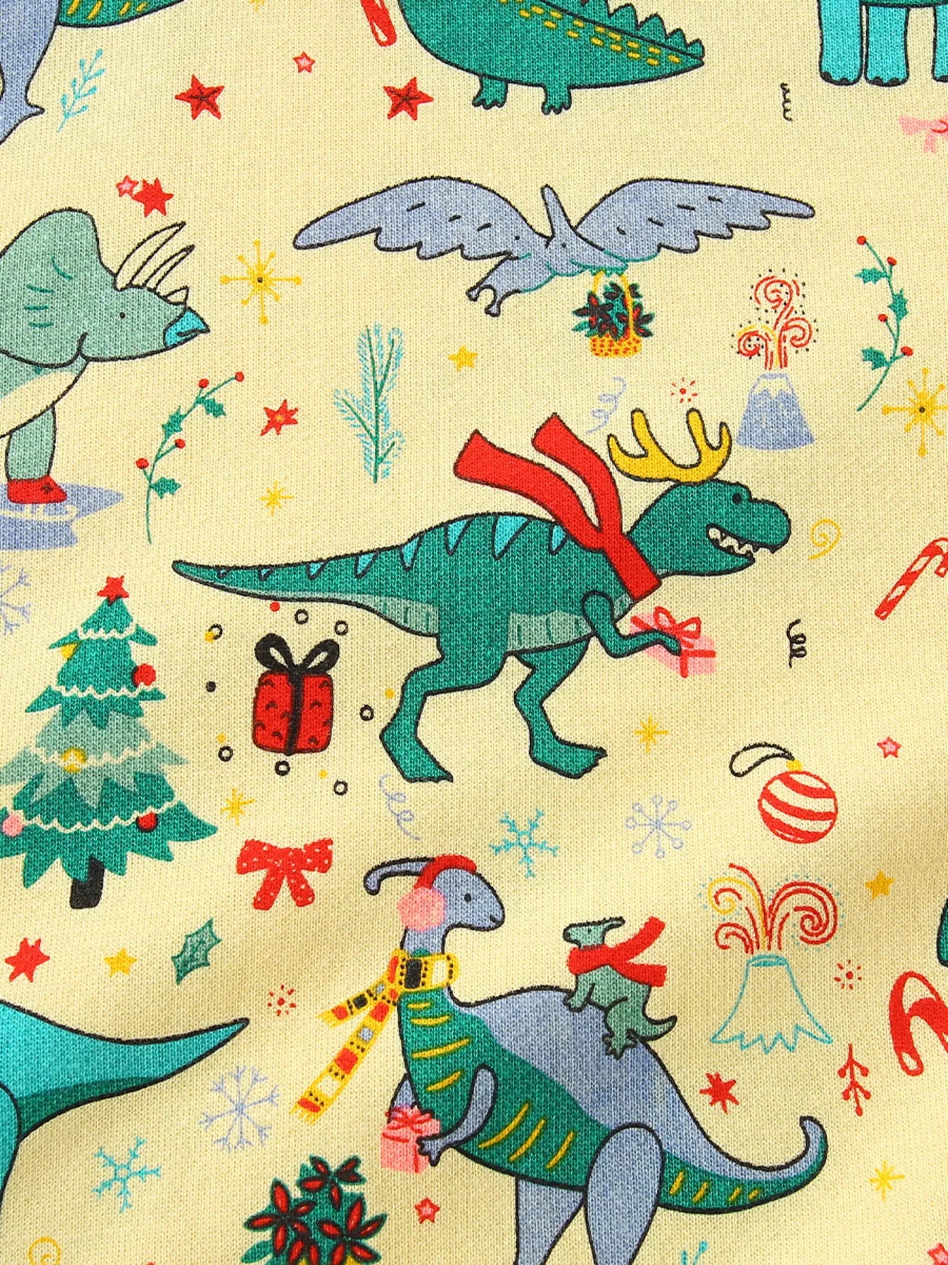 Children‘s Dinosaur Print Long Sleeve Sweatshirt