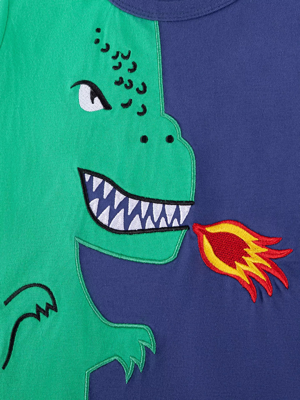 Children's Dinosaur Print Two-Tone Set