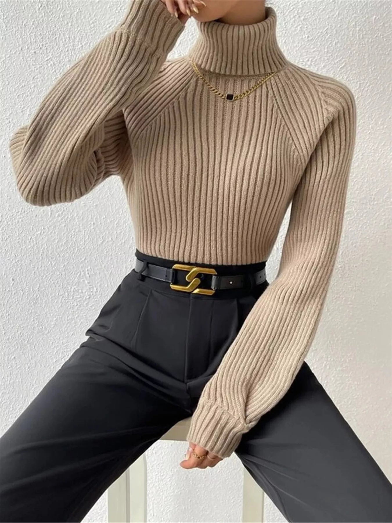 Ribbed Knit Turtleneck Sweater