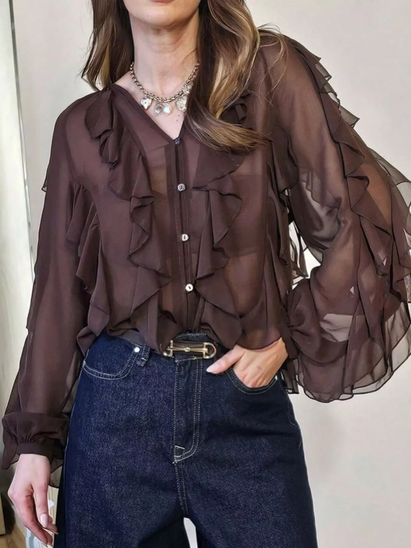 Ruffled Sheer Long Sleeve Blouse