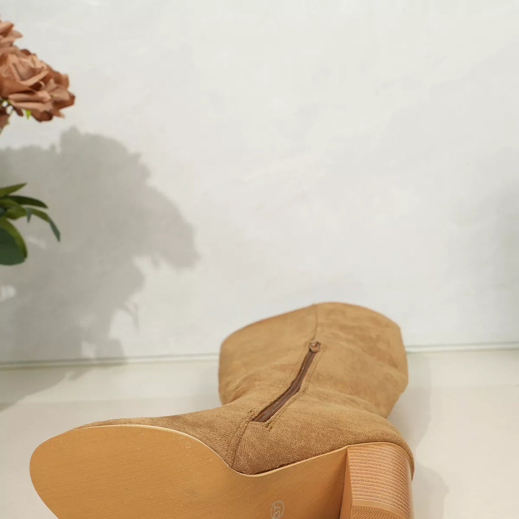 Point Toe Block Heels Boots