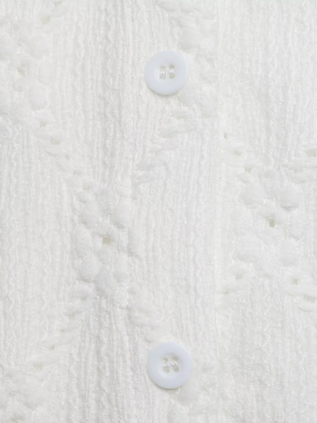 Lace Detail Ruffle Sleeve Button Up Shirt