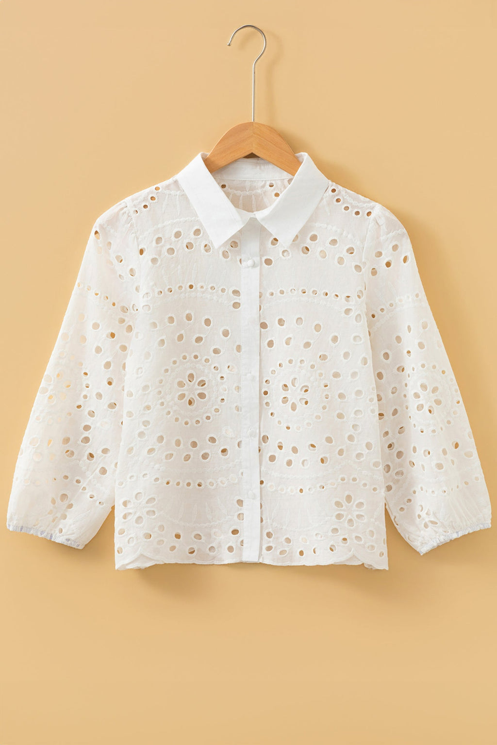 Eyelet Embroidered Puff Sleeve Cropped Shirt