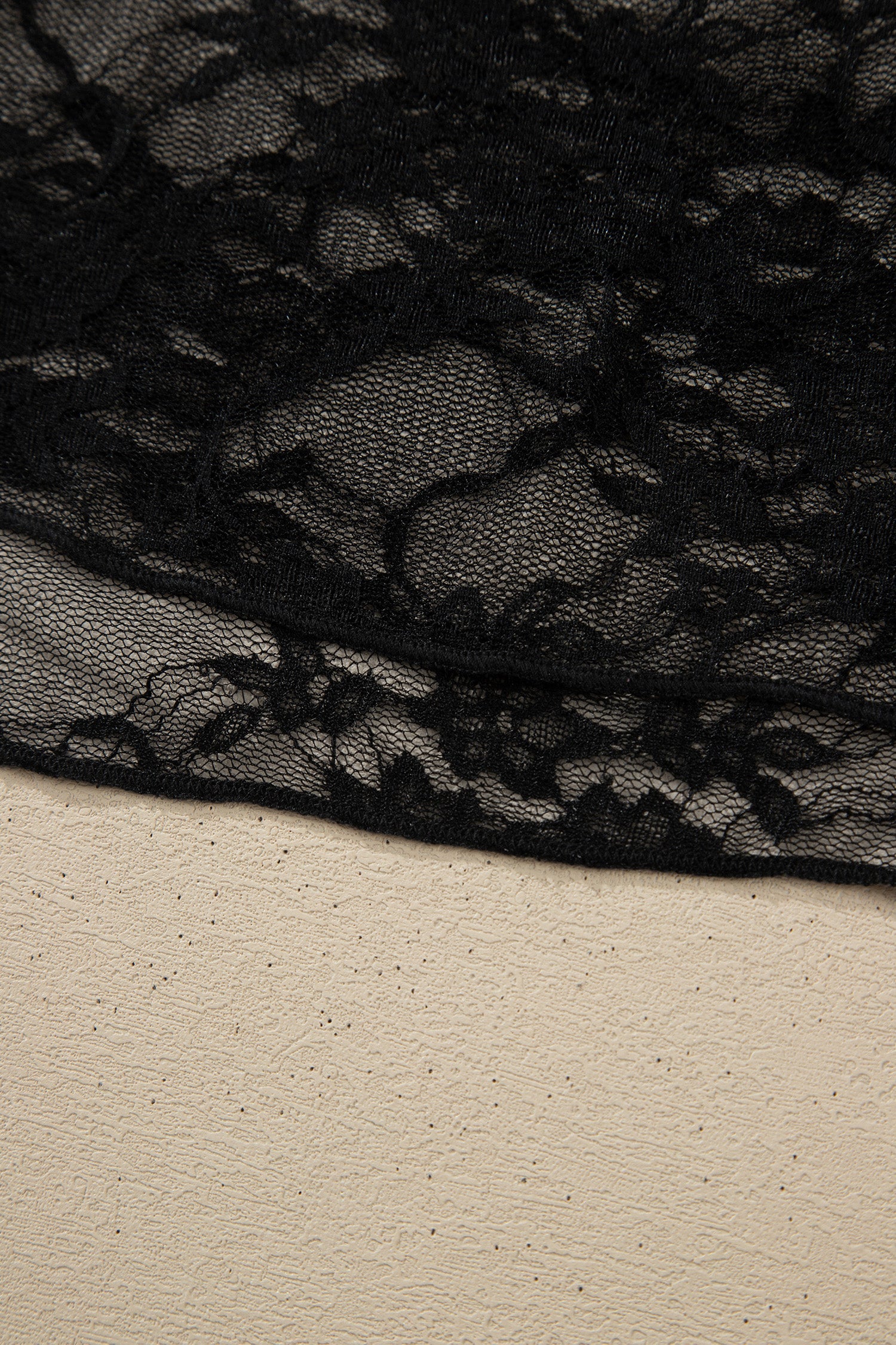 Sheer Floral Lace Mock Neck Long Sleeve Top