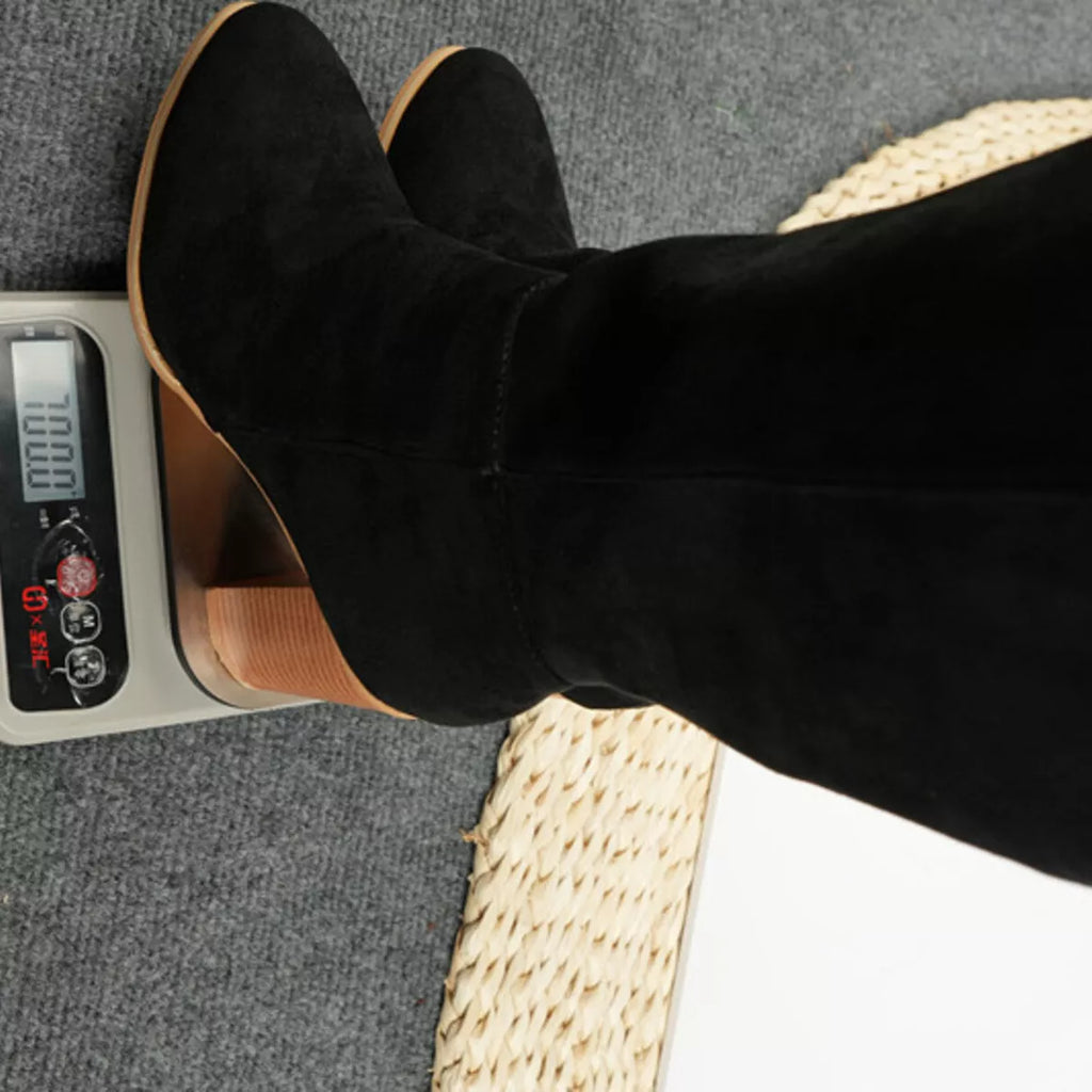 Point Toe Block Heels Boots
