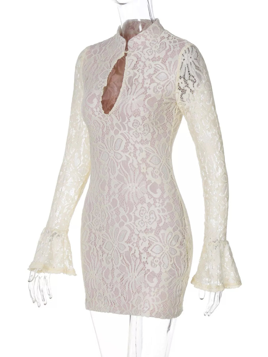 Lace Cutout Long Sleeve Mini Dress