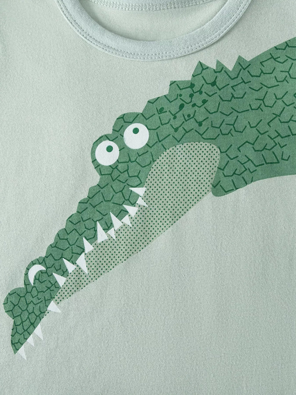 Children's Crocodile Graphic Tee & Shorts Set