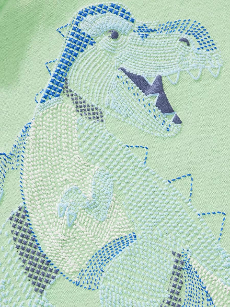 Children's Dinosaur T-shirt and Shorts Set