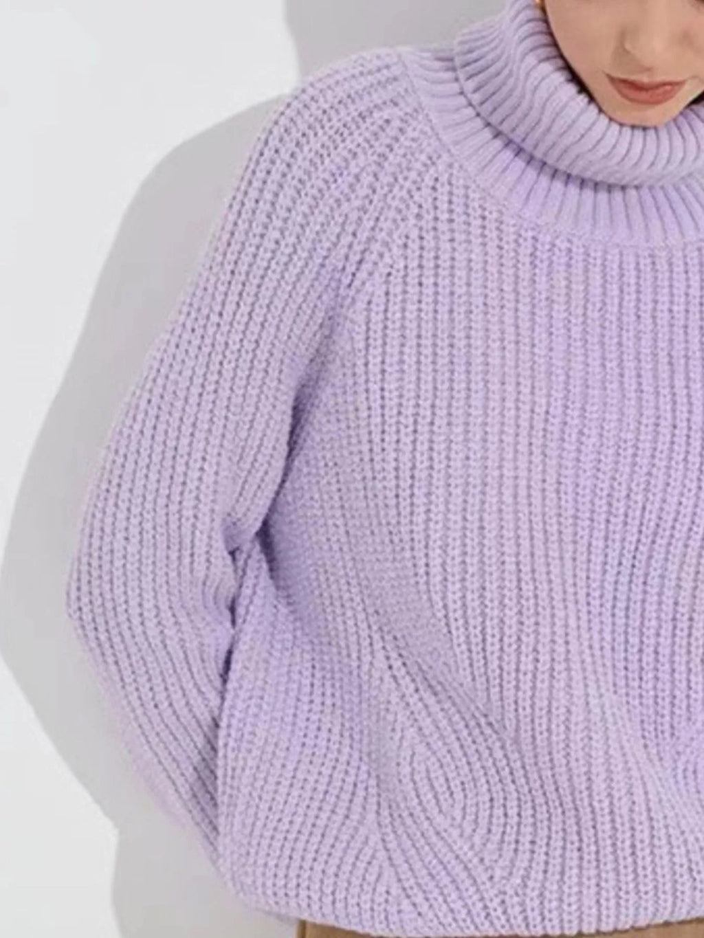 Turtleneck Long Sleeve Sweater