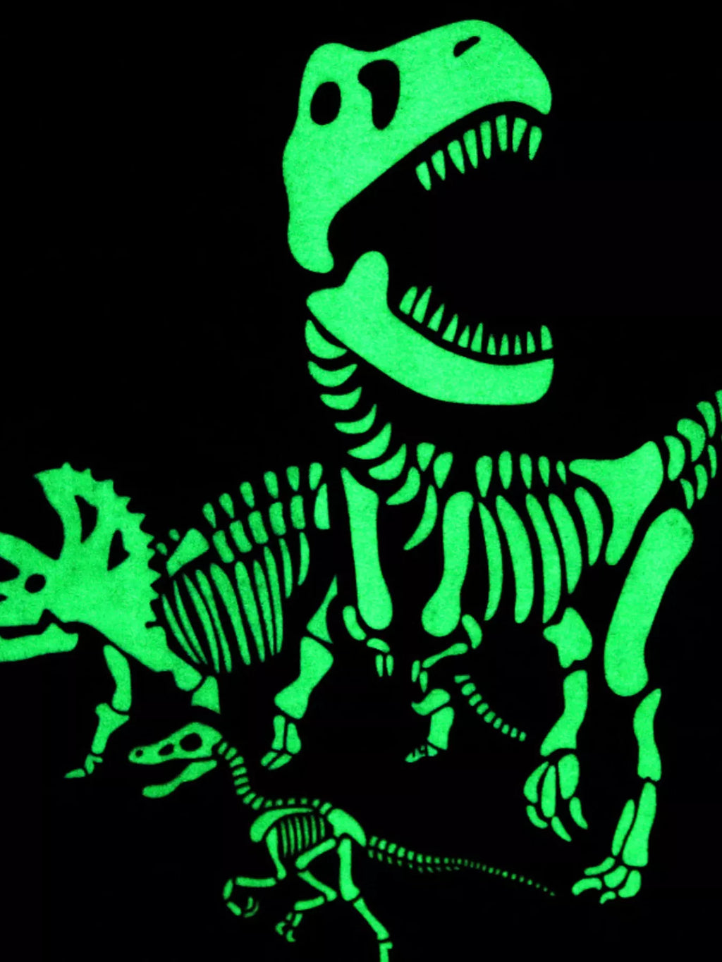 Children's Glow In The Dark Dinosaur Skeleton Graphic Crew Neck T-Shirt