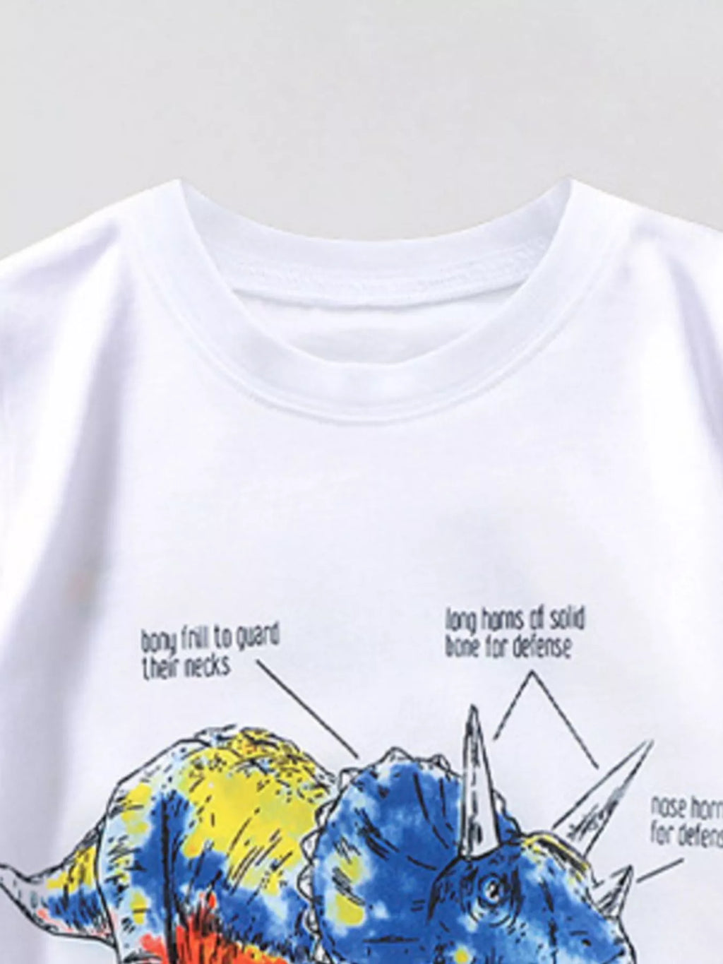 Children's Dinosaur Triceratops Graphic T-Shirt