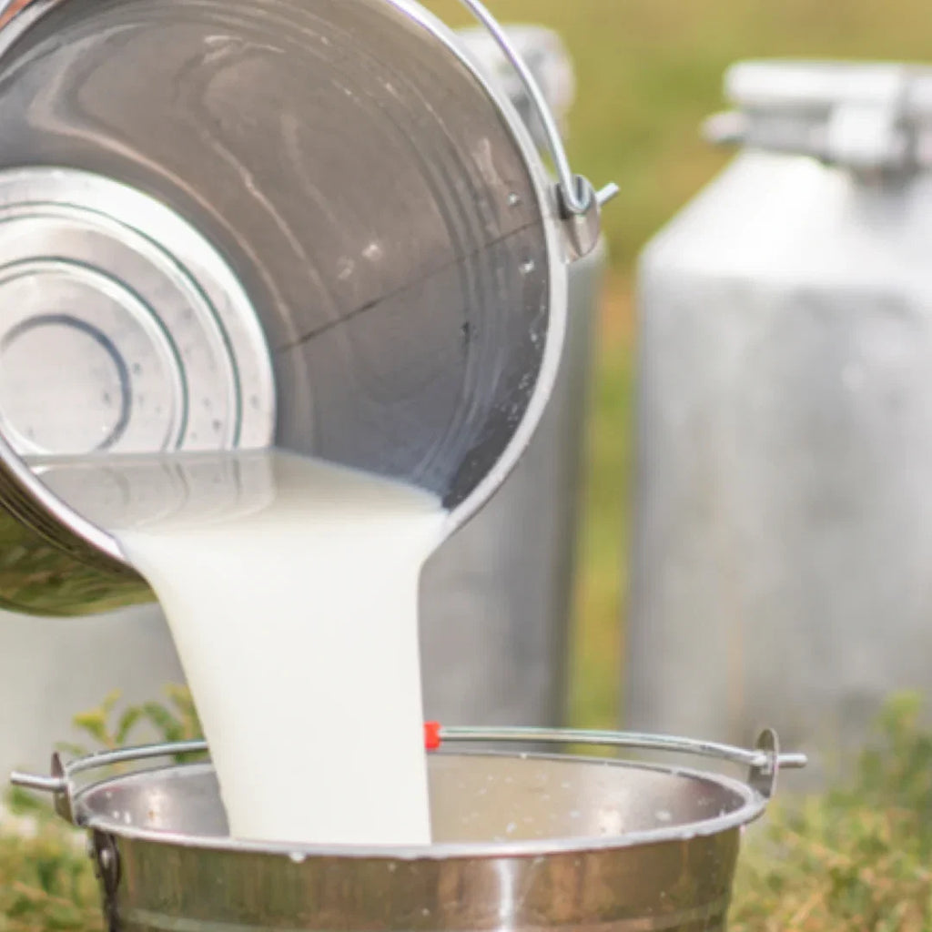 Brightening Vitamin C and Bakuchiol Soap Bar
