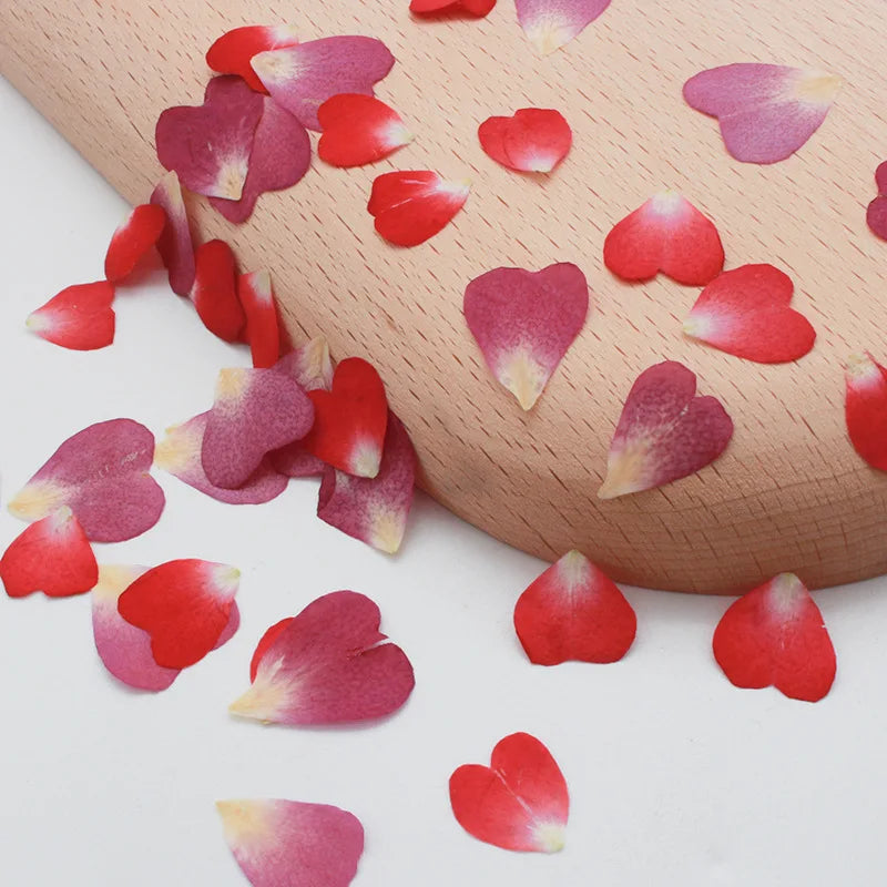 100pcs 1cm Heart Shape Pressed Dried Rose Flower Petals for Jewelry
