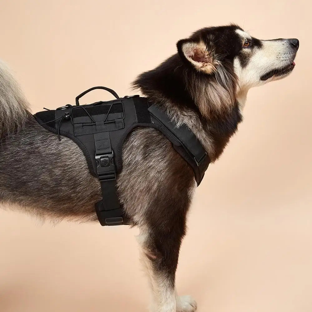 Tactical Dog Vest Harness No Pull Comfortable Adjustable Pet Harness For Medium Large Dog Military Training With Handle Labrador