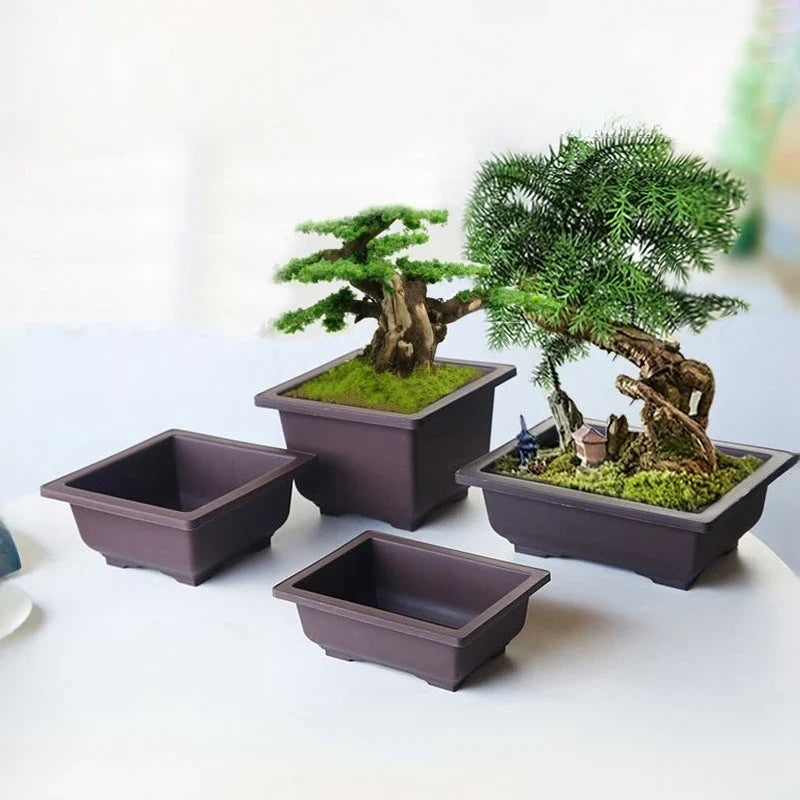 Rectangular Bonsai Training Pots Plastic Flowerpot with Drainage Tray Succulent Plants Pot Bonsai Plants Growing Pots Home Decor