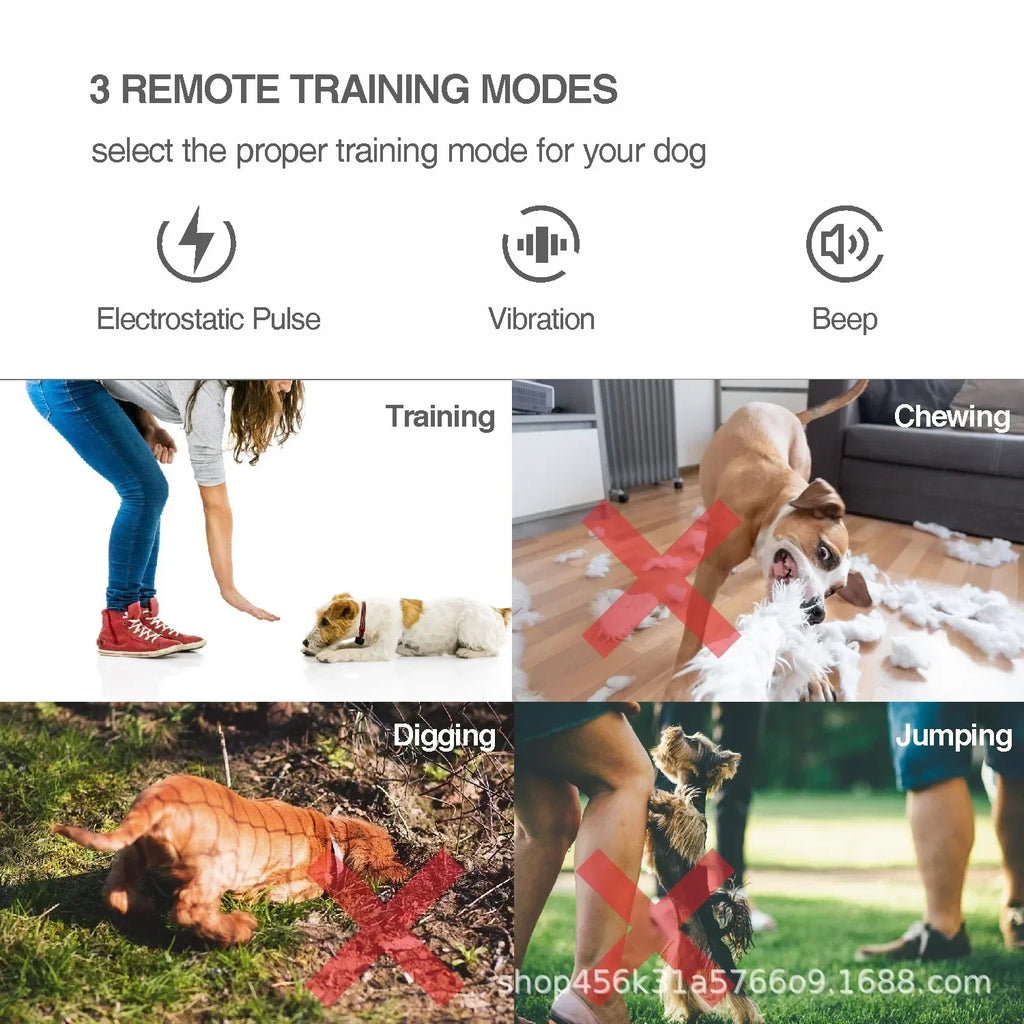 Remote Control Electric Dog Training Device New Automatic Bark Stopper Collar Pet Training Waterproof Pet Dog Collar for All Dog