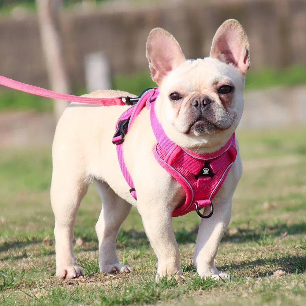 Pet Dog Leash Harness Tactical Training Puppy Vest Harnesses For Small Medium Dogs Cats Reflective Pug Chest Strap Accessories