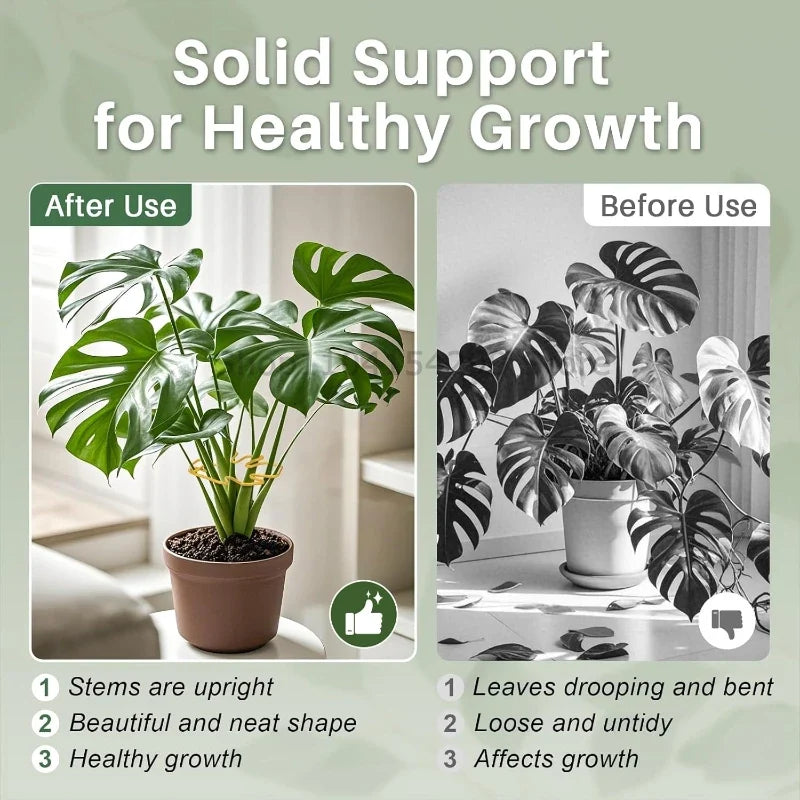 Large Monstera Plant Support Frame Sturdy Climbing Stems Leaf Stabilizer for Tall Houseplant Hanging Plant Stand Plants Holder