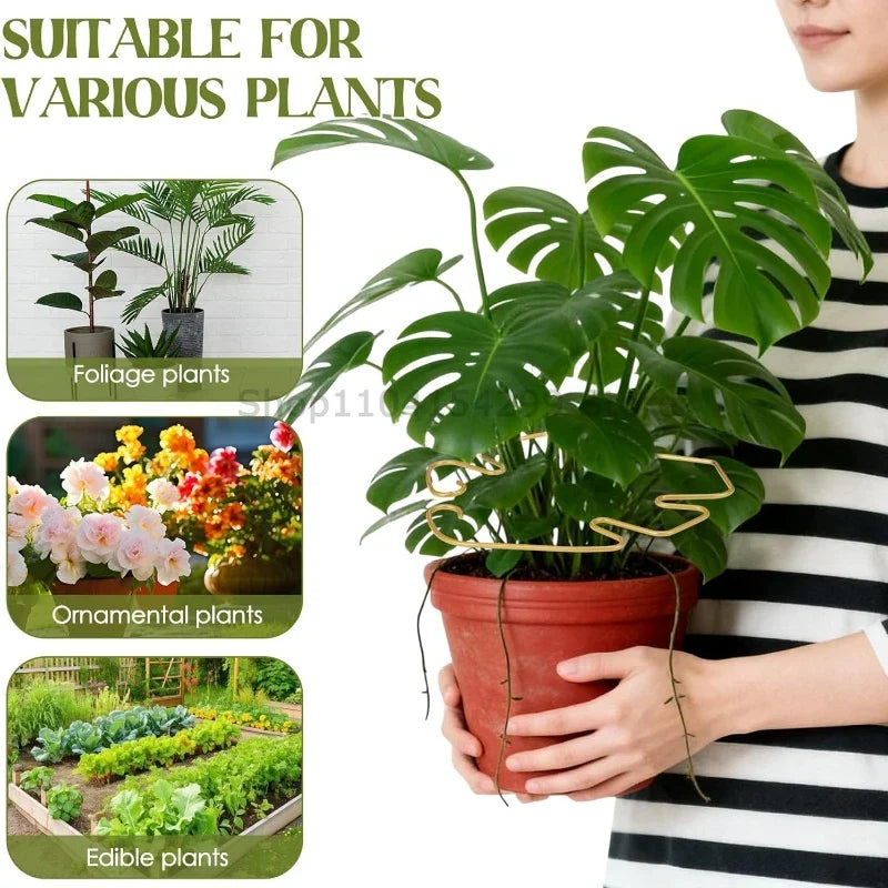 Plant Stand for Tall Houseplant Support Large Monstera Plant Stand Sturdy Climbing Stems Leaf Stabilizer Garden Plant Support