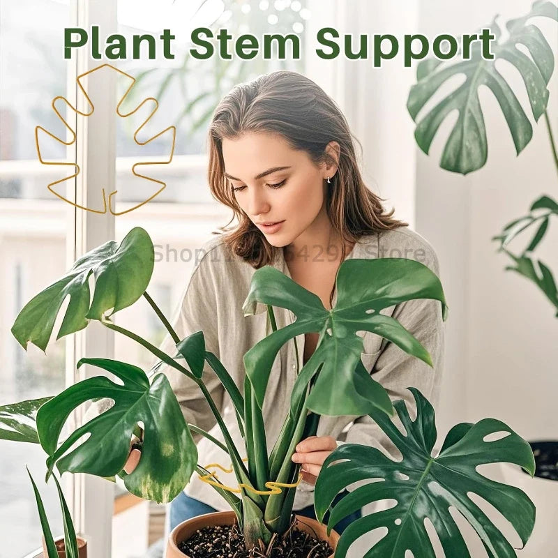 Plant Stand for Tall Houseplant Support Large Monstera Plant Stand Sturdy Climbing Stems Leaf Stabilizer Garden Plant Support