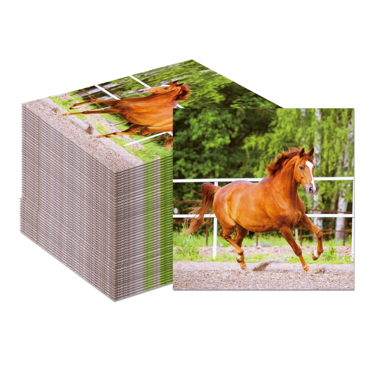 Horse Race Party Disposable Tableware Sets Plates Tablecloth Napkins Hanging Streamers Dinnerware For Birthday Party Decoration