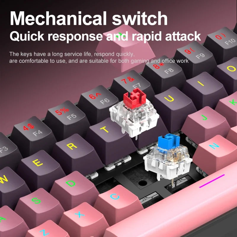 APAYADO™ 60% Mini Mechanical RGB Keyboard & Mouse Kit – Red Switches, 7200 DPI, Phantom RGB | FlipStylez LLC®