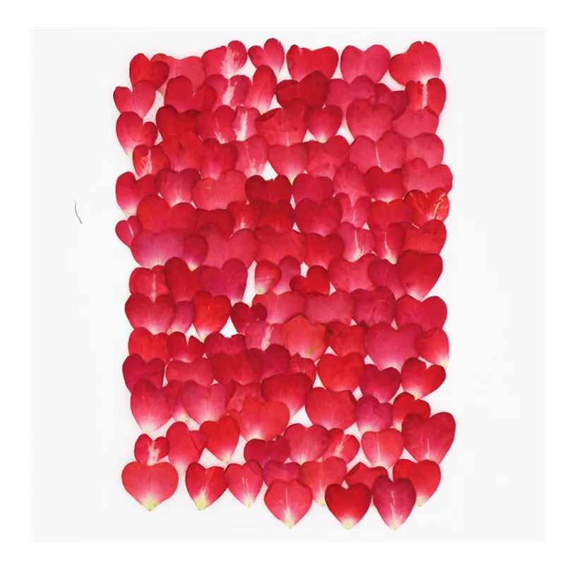 120pcs Rose Petals Mixed Pack, Dried Flowers, Pressed Flowers