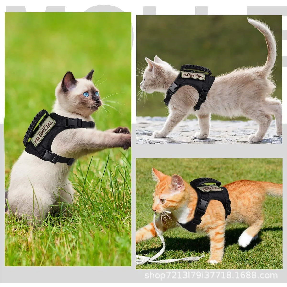 Tactical Military Vest Pet Tactical Training Cat Accessories Cat Dog Harness and Leash Set  Kitten Accessories
