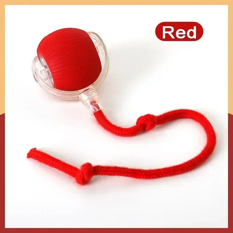 NewSpeedy Tail 2.0 Cat Toy, Speedy Tail Cat Toy, Interactive Cat Ball Toy, Smart Cat Toys Ball, Two Speed Adjustment, with Tail 