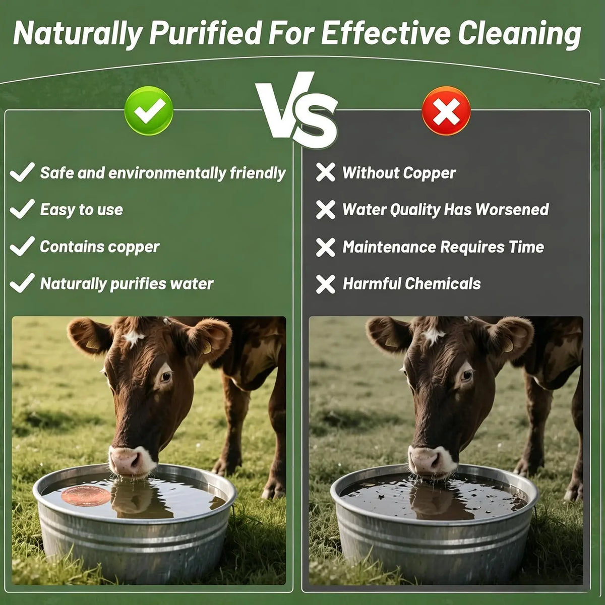 Horse drinking trough cleaner livestock drinking trough bird bathtub dual-use Animal Purification Disc 4 Inches Copper Purifier