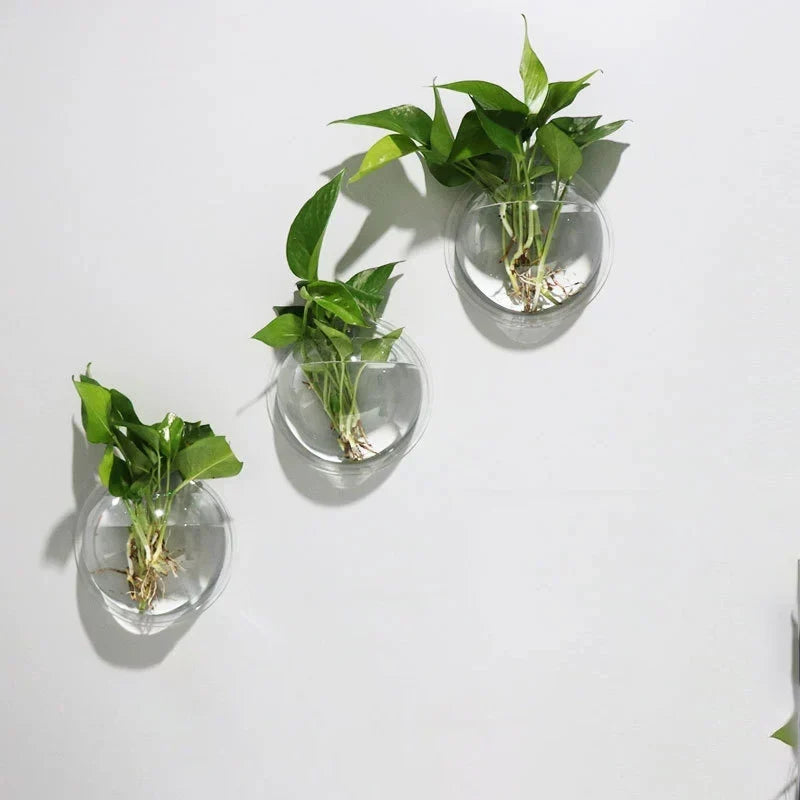 2/4/6/8 Pack Wall Hanging Glass Terrarium - Self-Watering Hydroponic