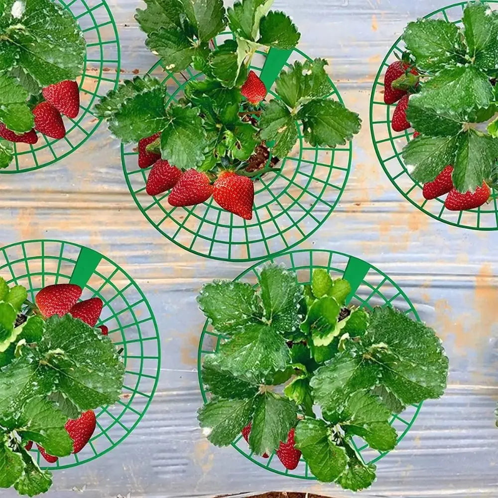 1/3pcs Round Strawberry Stand Anti-Corrosion Anti-Ground Strawberry