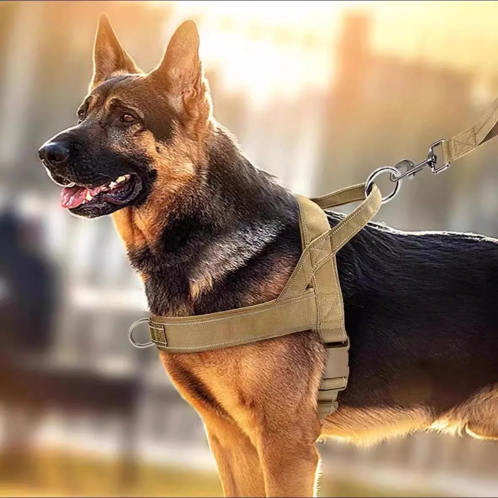 Dog Tactical Vest Nylon Outdoor Water-Repellent Dog Clothing Large and Medium-sized Dog Training Vest Harness Traction