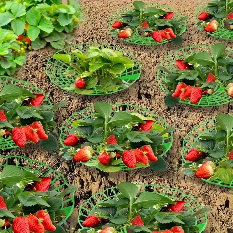 10/20pcs Green Strawberry Planting Racks, Watermelon Support Frames