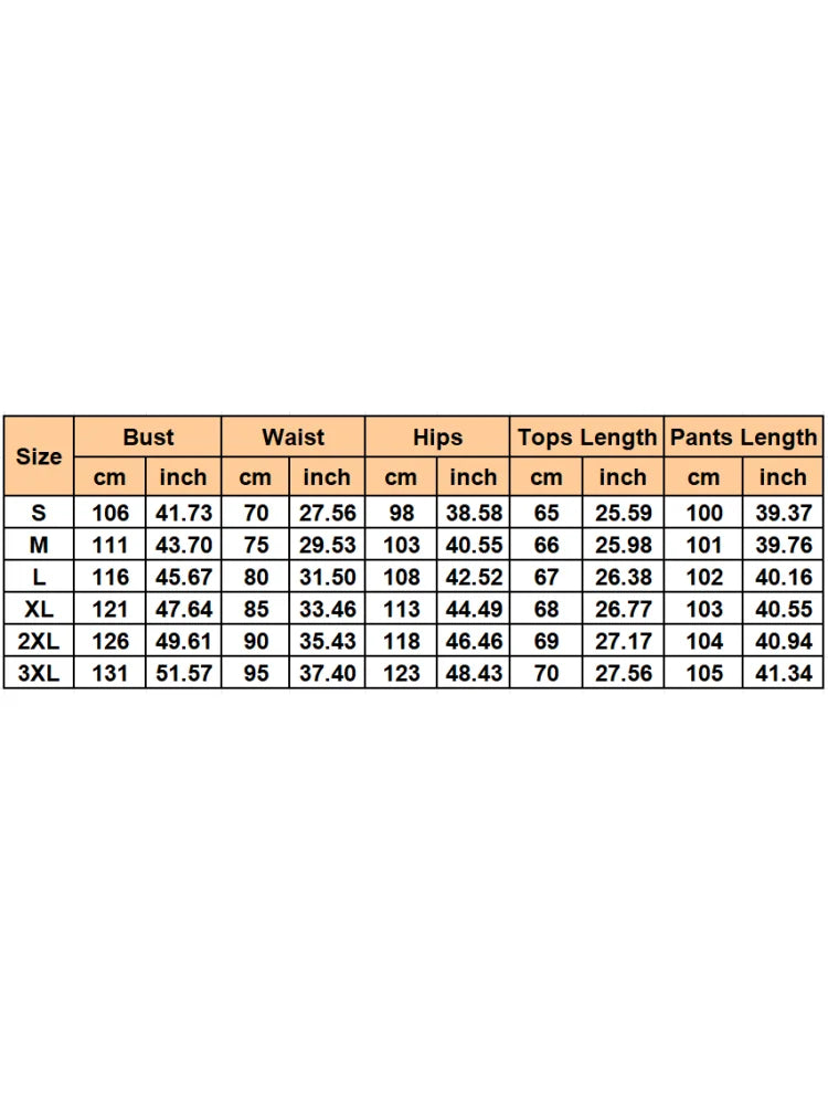 2 Pieces Women's Sets Spring Autumn Pullover Suit Long Sleeve Tops and
