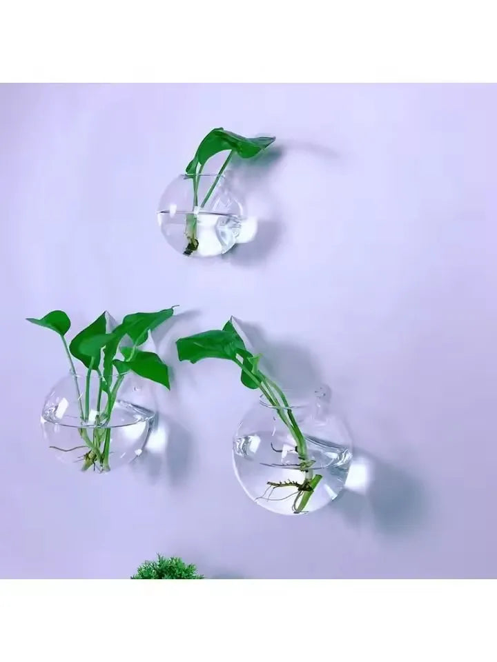 2/4/6/8 Pack Wall Hanging Glass Terrarium - Self-Watering Hydroponic