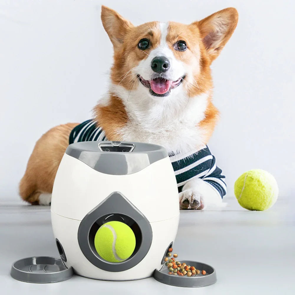 Automatic Dog Ball Launcher Dog Tennis Food Reward Machine Dog Tennis