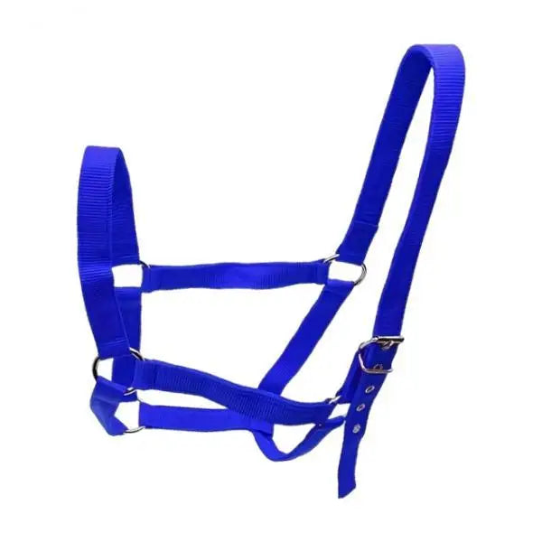 Strong PP Webbing Horse Halter Adjustable Padded Training Rope Harness Tack for Horse Riding and Groundwork