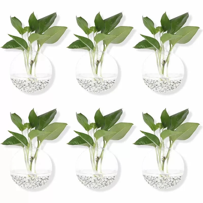 2/4/6/8 Pack Wall Hanging Glass Terrarium - Self-Watering Hydroponic
