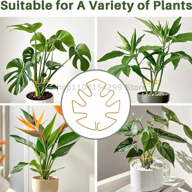 Plant Stand for Tall Houseplant Support Large Monstera Plant Stand Sturdy Climbing Stems Leaf Stabilizer Garden Plant Support