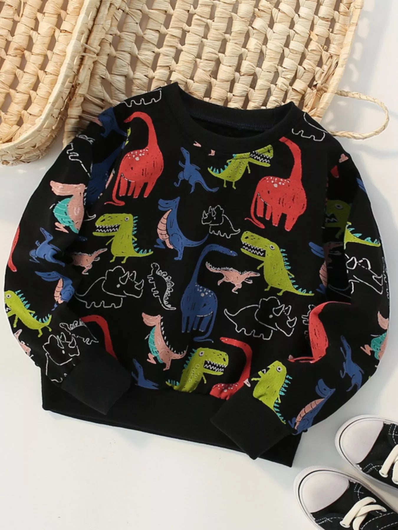 Children's Dinosaur Print Crew Neck Sweatshirt