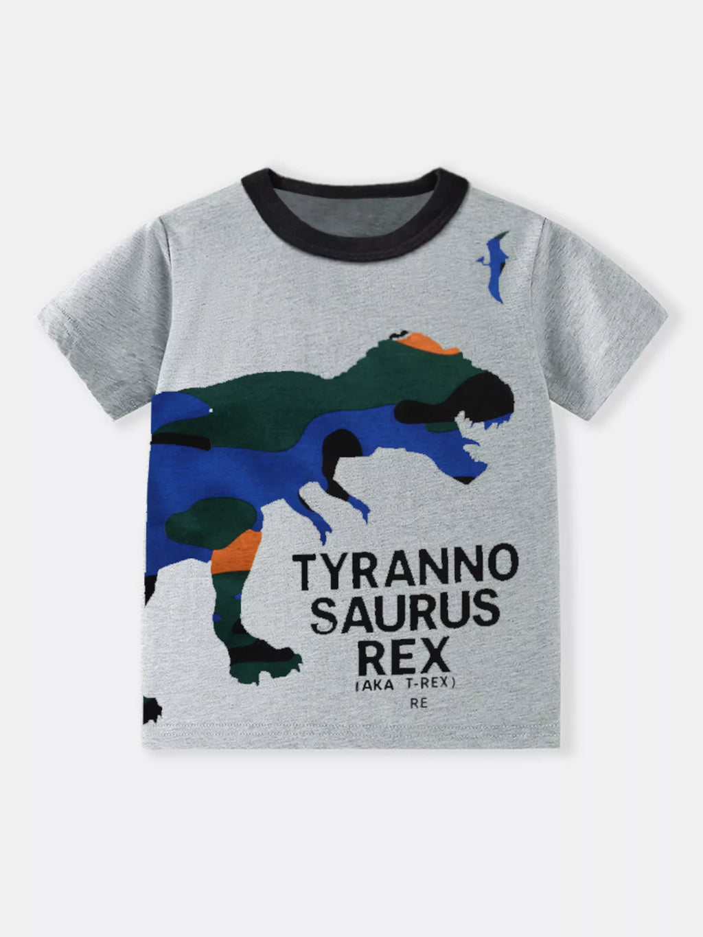 Children's Dinosaur Graphic Round Neck T-Shirt