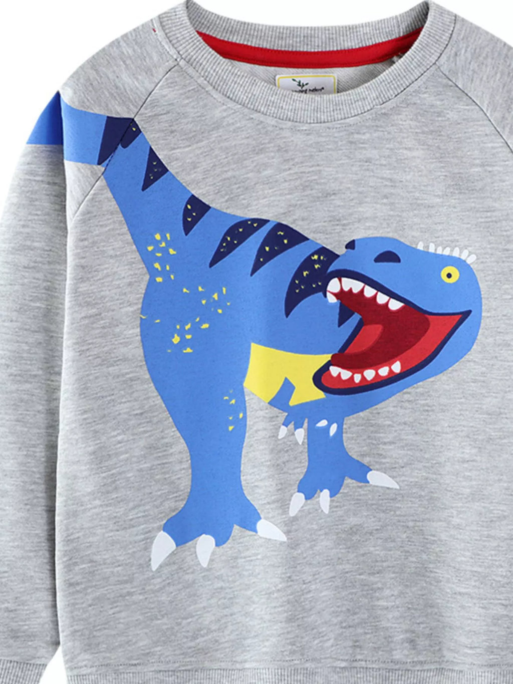 Children's Dinosaur Crew Neck Sweatshirt