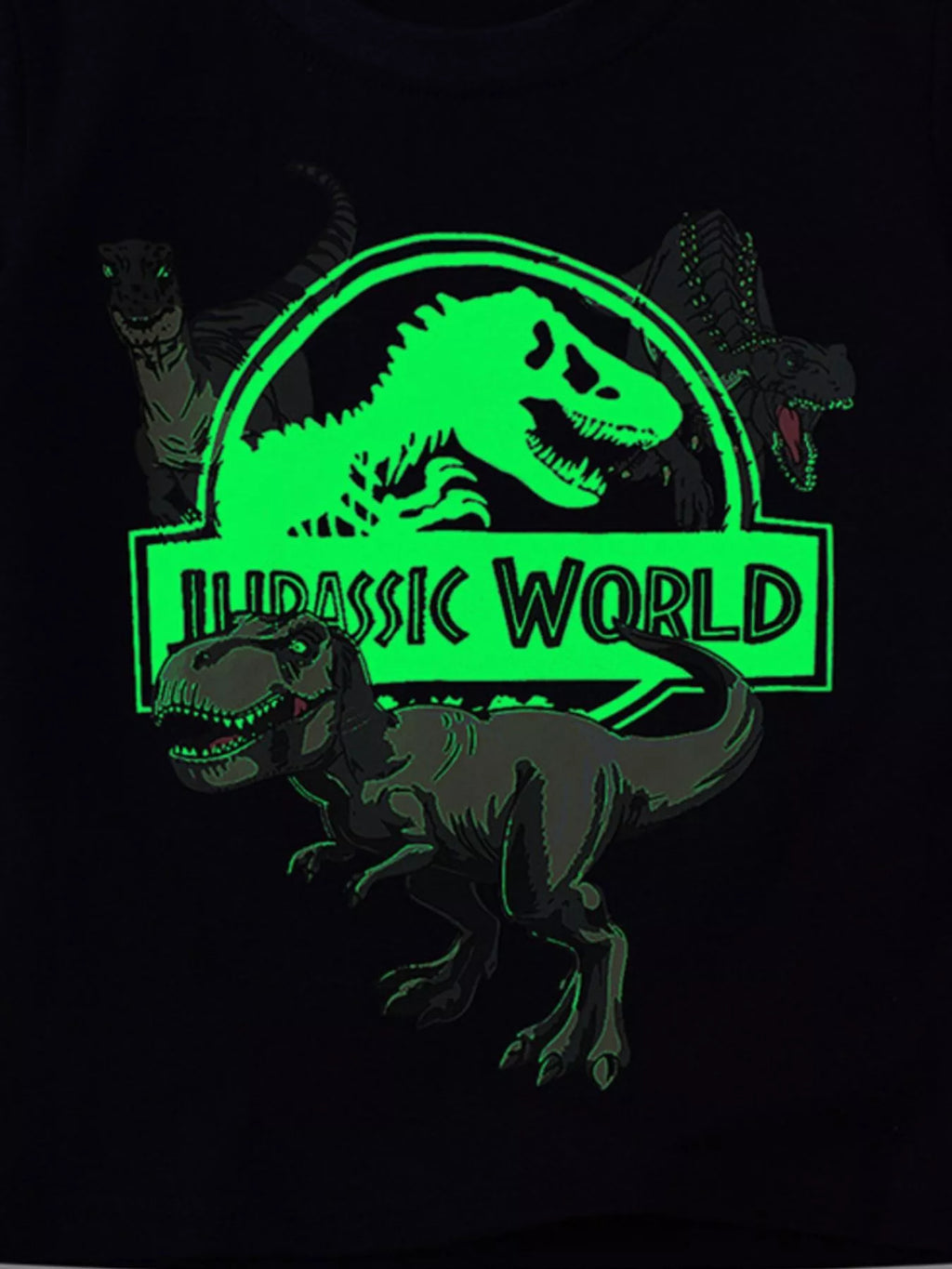Children's Jurassic World Graphic Short Sleeve T-Shirt