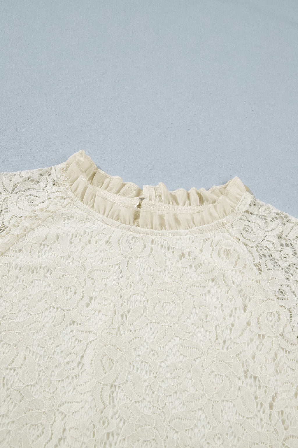 Sheer Lace Ruffle Trim Long Sleeve Blouse
