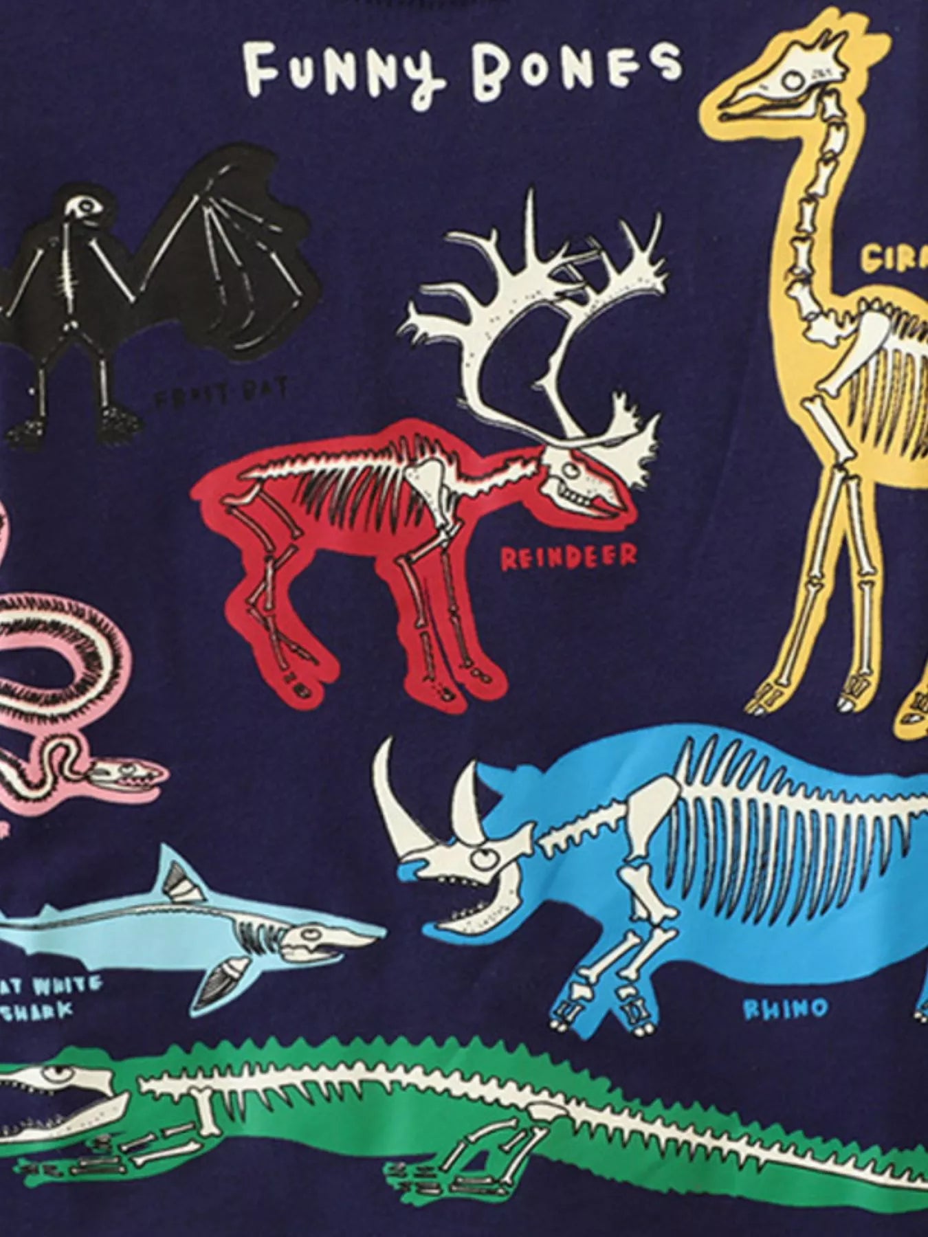 Children's Animal Skeleton Print T-Shirt